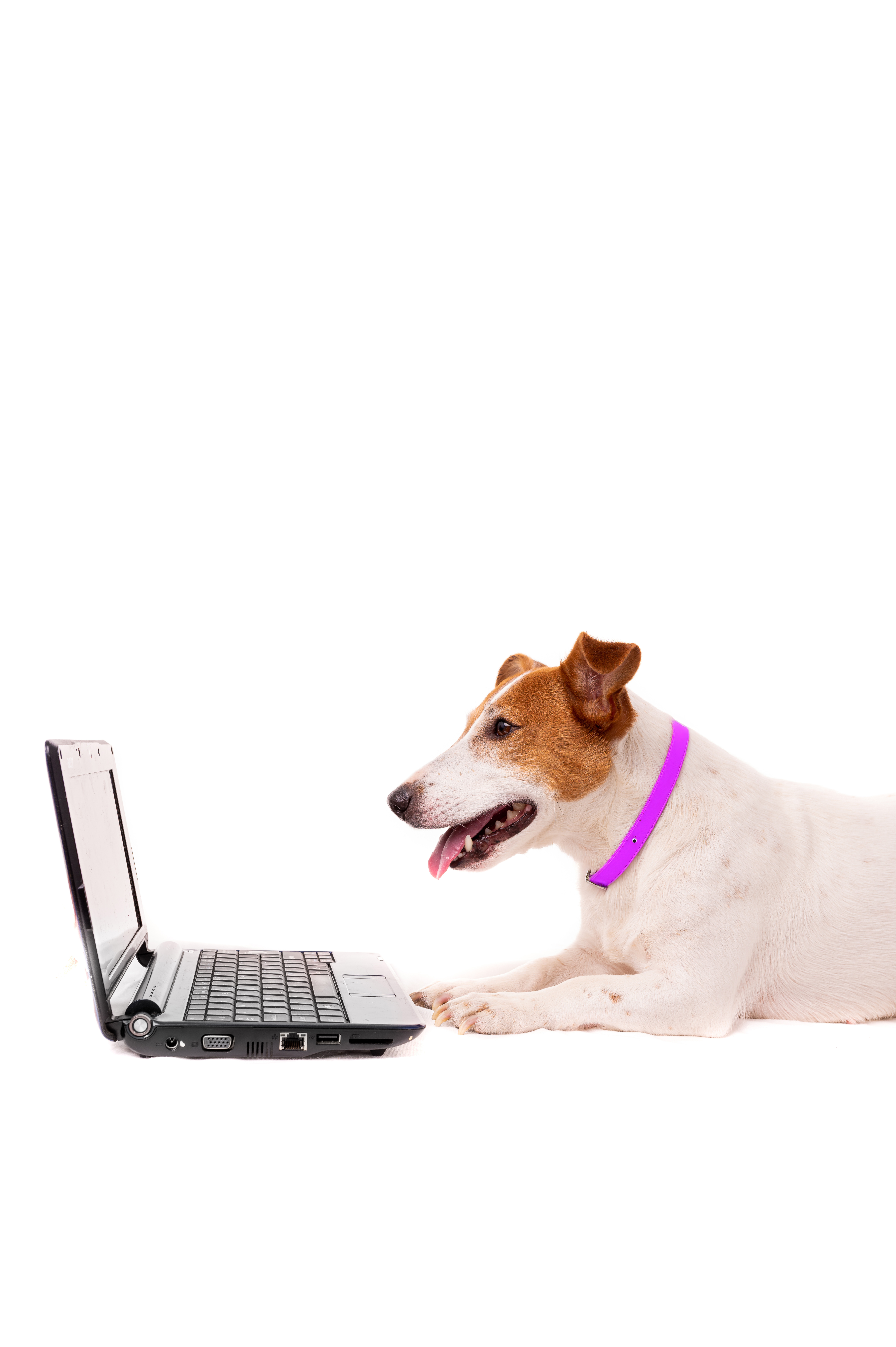 Generic placeholder image