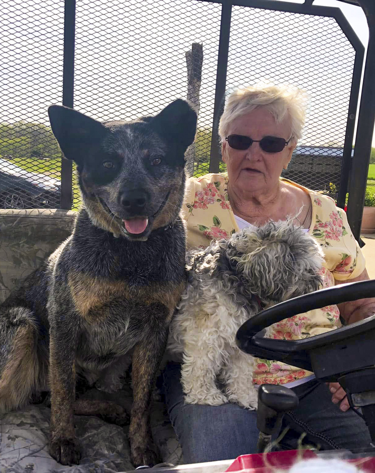 Generic placeholder image